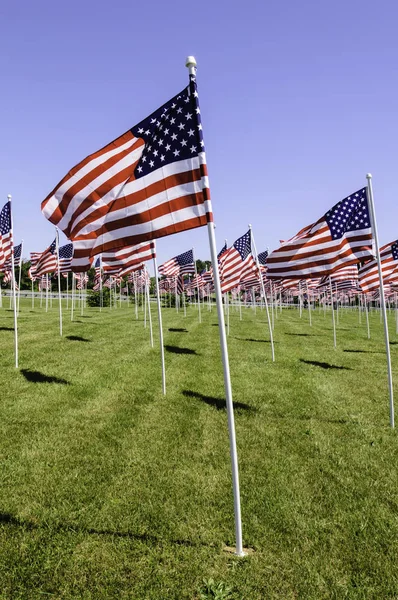 Bandeiras Americanas Levantadas Grama Verde Dia Ensolarado Eua — Fotografia de Stock