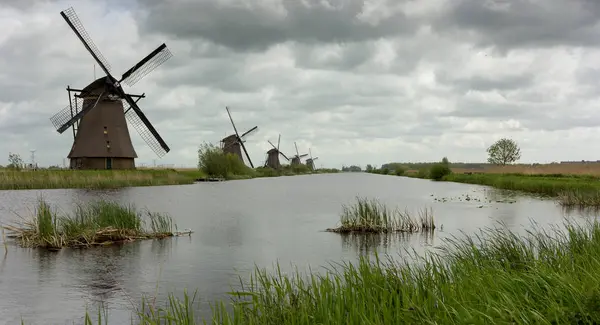 Живописный Вид Ветряные Мельницы Вдоль Реки Одиль Нидерланды — стоковое фото