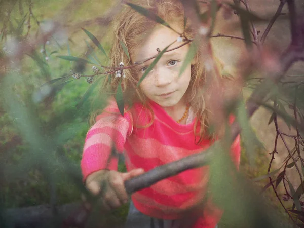 Fille Regardant Caméra Travers Les Branches Arbre — Photo