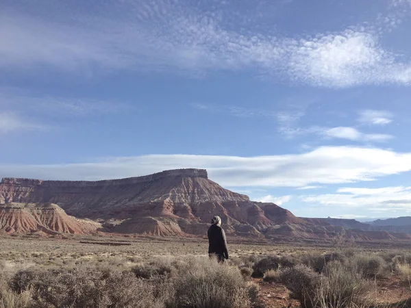 Zadní Pohled Ženy Poblíž Národního Parku Zion Utah Usa — Stock fotografie