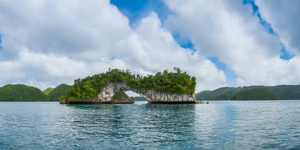Naturskønne Udsigt Naturlige Bue Tilgroet Med Planter Palau - Stock-foto