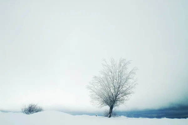 风景秀丽的冬天风景 格拉纳达 安达卢西亚 西班牙 — 图库照片