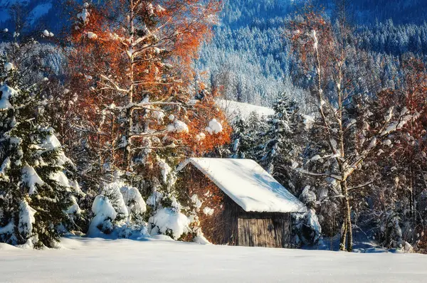 瑞士冰雪覆盖的冬季小屋风景景观 — 图库照片