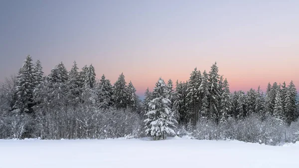 Vista Panorâmica Árvores Cobertas Neve Pôr Sol Alpes Suíça — Fotografia de Stock