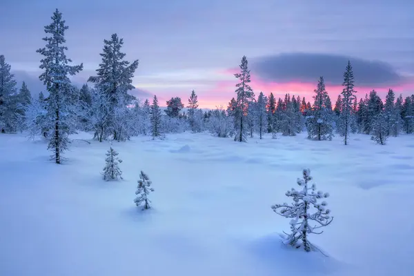 Sunset Frozen Winter Landscape Lapland Finland — Stock Photo, Image