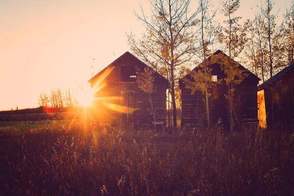 Three Wooden Huts Rural Landscape Scene British Columbia Canada — Stock Photo, Image