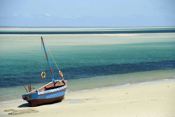 Malebný Pohled Dhow Pláži Inhambane Mosambik — Stock fotografie