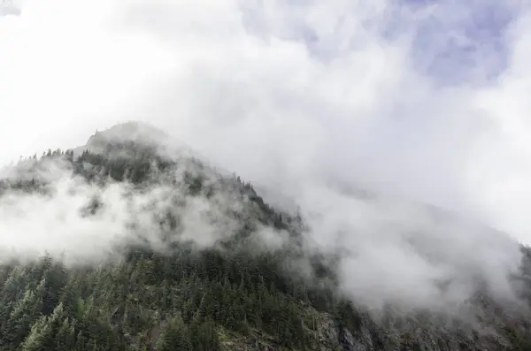 Verenigde Staten Washington State Mount Rainier National Park Schilderachtig Uitzicht — Stockfoto