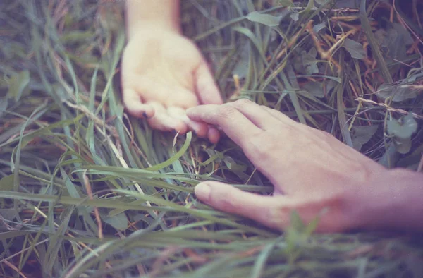 Kırpılan Görünümü Çiftin Birbirlerine Doğru Ulaşan Çimenlerin Üzerinde Eller — Stok fotoğraf