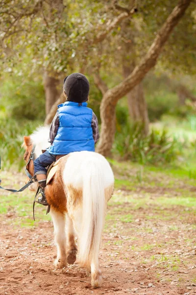 Little Boy Riding Pony Horse Park — Stock Photo, Image