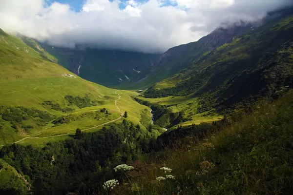 Vista Panorámica Del Hermoso Valle Verde Los Alpes — Foto de Stock