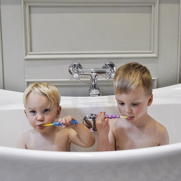 Two Cute Little Brothers Bathroom Cleaning Teeth Together — Stock Photo, Image