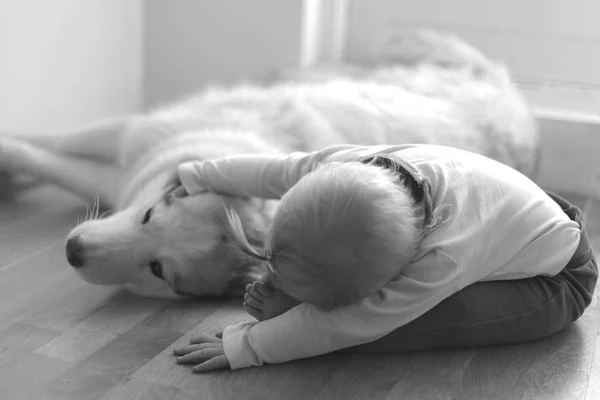 Μικρό Κορίτσι Χαϊδεύοντας Σκυλί Στο Πάτωμα Μονόχρωμη — Φωτογραφία Αρχείου
