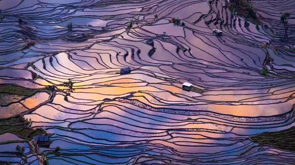 Terraced rice fields — Stock Photo