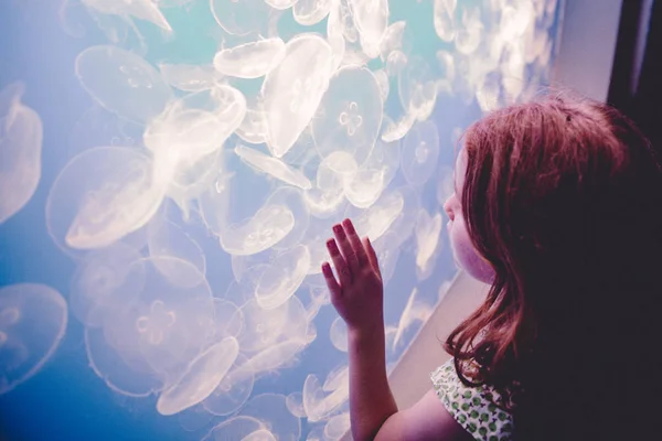 Fille regarder méduses dans l'aquarium — Photo de stock