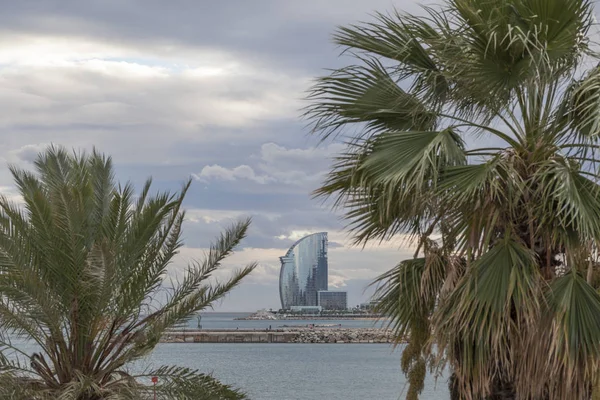Strand van Barceloneta, Hotel W of Hotel Vela, door architect Ricard Bofill tussen palmboom. Barcelona. — Stockfoto