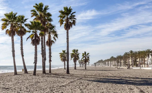 EL VENDRELL, ESPAÑA-ENERO 8,2016: Playa mediterránea, palmera y paseo marítimo en El Vendrell, Costa Daurada, provincia Tarragona, Cataluña . — Foto de Stock