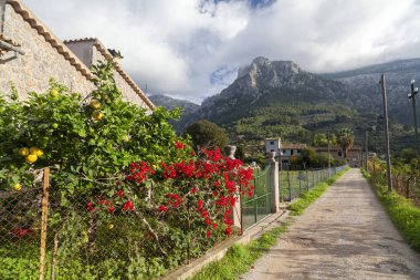 Geleneksel ev, dağ, serra de Tramontana arka planda Nottingham, Balear Adaları,.
