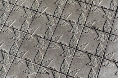 Barcelona, İspanya-Kasım 8,2015: Kaldırım Diagonal Caddesi, damga hatırlıyorum şehrin tipik ağaçlarının yaprakları.