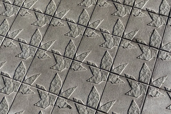 Barcelona, İspanya-Kasım 8,2015: Kaldırım Diagonal Caddesi, damga hatırlıyorum şehrin tipik ağaçlarının yaprakları.