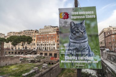 Antik Roma kalıntıları, Torre Argentina kedi sığınak işareti.