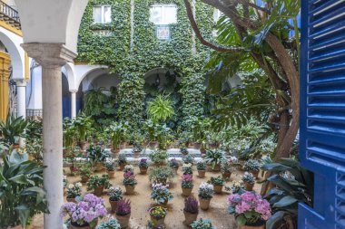 Çiçeklik Sevilla, Endülüs, İspanya ile tipik veranda.