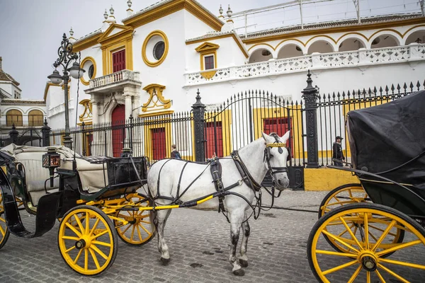 Paard en wagen en Arena, plaza de toros La Maestranza, Sevilla, Andalusië. — Stockfoto