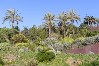 Park, Botanik Bahçesi, Parc de Montjuic, Barselona