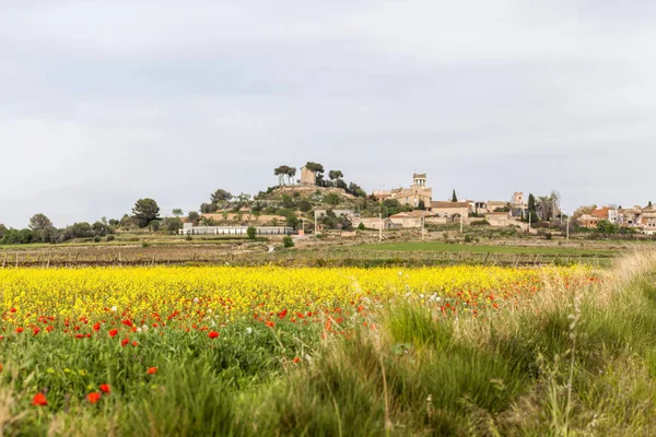 Widok wsi i krajobraz, dzień wiosny, Banyeres del Penedes, Penedes regionu, Hotel Catalonia. — Zdjęcie stockowe