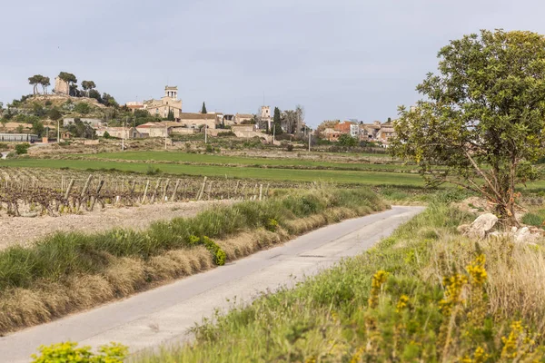 Falu és a táj Nézd, tavasz, Banyeres del Penedes, Penedes régió, Catalonia. — Stock Fotó