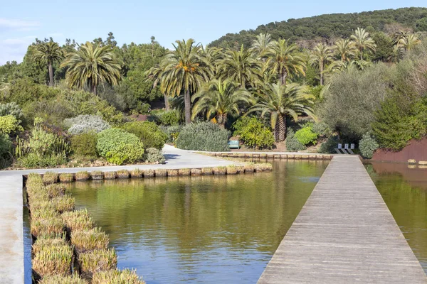 Parque, Jardín botánico, Parque de Montjuic, Barcelona — Foto de Stock