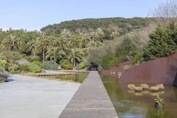 Parque, Jardín botánico, Parque de Montjuic, Barcelona — Foto de Stock