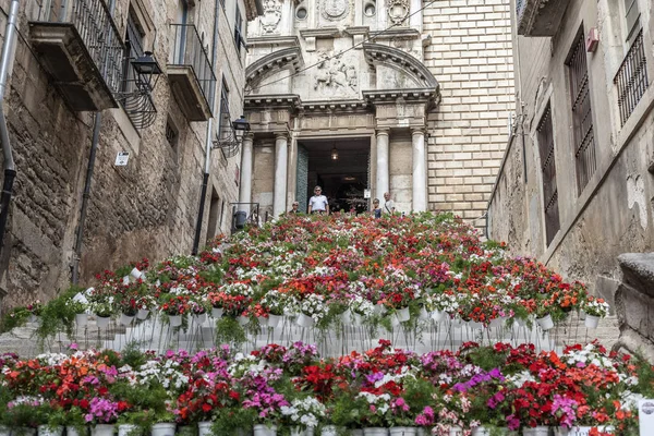 Vista rua, edifícios antigos, centro histórico, Pujada de Sant Domenec ou Escalinata de Sant Marti, escadas decoradas com flores em Temps de Flors, Festival de flores da primavera, Girona, Catalunha . — Fotografia de Stock