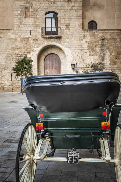 Carruagem turística em frente ao Palácio, Palácio Almudaina, Centro Histórico de Palma, Ilhas Baleares, Espanha . — Fotografia de Stock