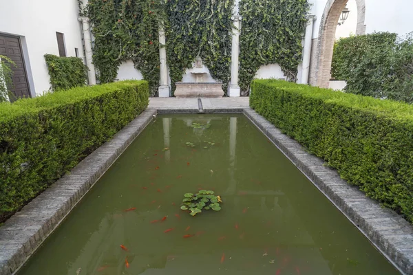 Alcazar of Seville, Reales Alcazares de Sevilla, gardens, Andalucia, Spain . — стоковое фото