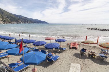 Plaj manzarası Ligurya Monterosso Köyü, Cinque Terre, İtalya.