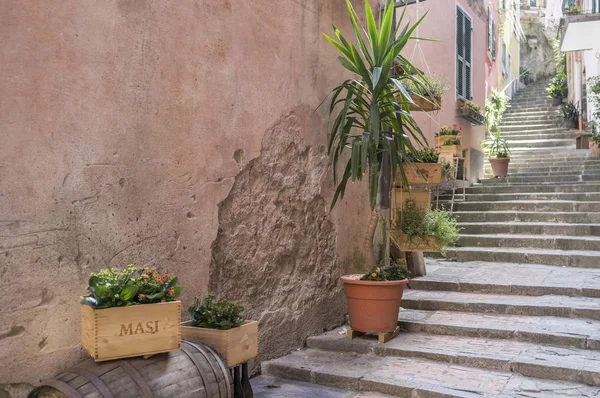 Vista de rua da aldeia de Monterosso, Cinque Terre, Itália . — Fotografia de Stock