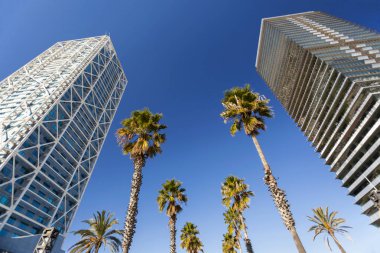 Architecture, skycraper view, Hotel Arts and Torre Mapfre and row of palm tree, Olympic Port, Barcelona. clipart