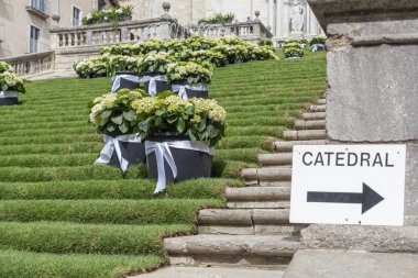 Merdiven ve katedral oturum açma bahar festivali çiçek, Temps de Flors, Girona, İspanya.