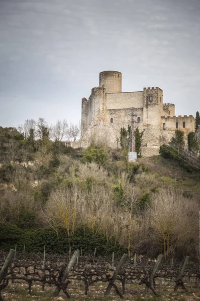 CASTELLET, Castelo e vinhas — Fotografia de Stock