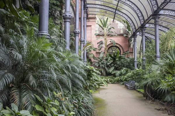 Parque, Parc de la Ciutadella, Umbracle, edificio cubierto de plantas delicadas, Barcelona . — Foto de Stock