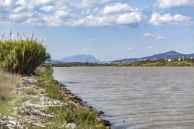 Llobregat deltası, doğal alan, Llobregat nehri, arka planda Montserrat dağı, El Prat de Llobregat, Barcelona, Katalonya, İspanya.