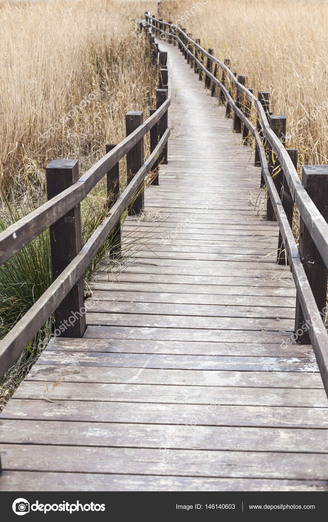 Wooden Boradwalk Between Marshes Stock Photo Joanbautista Wooden Boradwalk Between Marshes Stock Photo