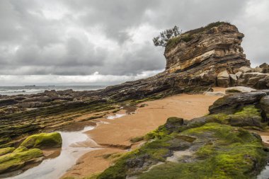 Kaya oluşumu içinde plaj, El Sardinero Santander, Cantabria, İspanya.
