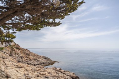 Kaya oluşumu, sakin deniz, Akdeniz manzarası, kosta Brava, Sant Feliu de Guixols, Girona ili, Katalonya, İspanya.