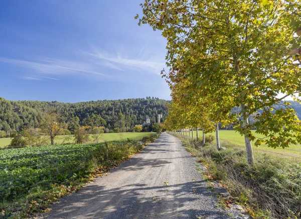 Katalan manzarası, yolu, yolu, Cami de Sant Benet, Sant Fruitos del Bages, Katalonya, İspanya.