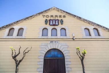Kadim şarap mahzeni, dükkan yangını, Penedes bölgesi, Vilafranca del Penedes, Katalonya.