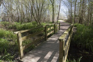 Manzara orman yakın göl Banyoles, Catalonia, İspanya.