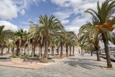 Promenade ve palmiye ağacı bağlantı noktası Cartagena, İspanya.