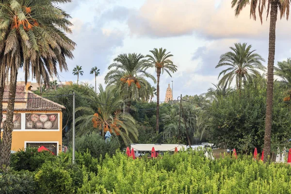 Jardín y naturaleza junto al centro histórico de Murcia, España . — Foto de Stock
